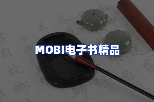 外文电子书产品